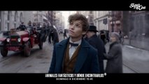 Animales fantásticos y dónde encontrarlos Película