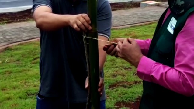 Mudas de Ipês são plantadas na região Oeste de Cascavel