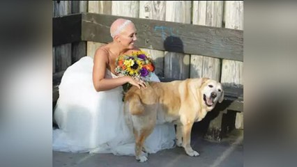 Ajab Gajab: शादी में मनपसंद दूल्हा पाने के लिए लड़कियां करती हैं ये काम | Boldsky