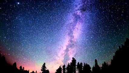 La Realidad de las Personas, ¿En que nos Convertimos? (Reflexiones) | Yohan Cala