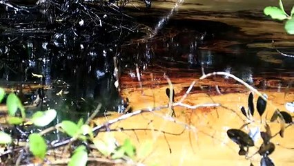 Heritage Petroleum: Spill 90% Cleaned