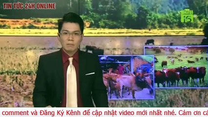 Hà Nội Di dời thành công và hủy an toàn quả bom được phát hiện tại phố Cửa Bắc. Tin tức 24h mới nhất