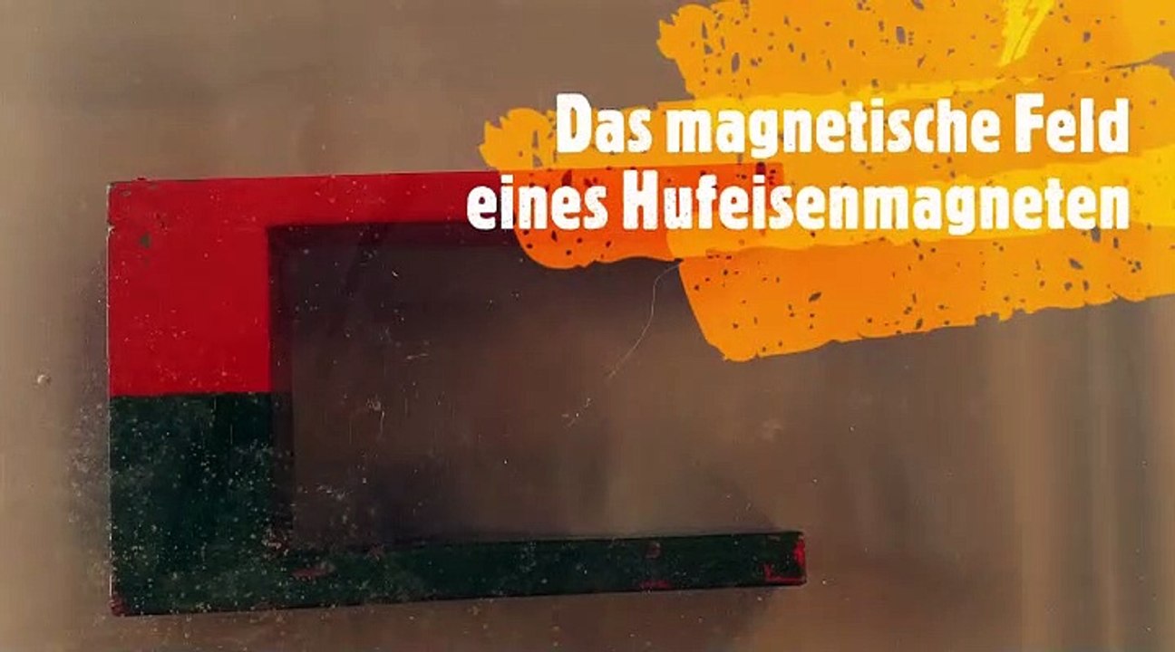 Das magnetische Feld eines Hufeisenmagneten - Physik