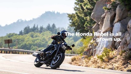 2021 Honda Rebel 1100 First Look Preview