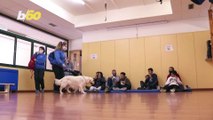 Disabled Children in Spain Dealing With the Pandemic Get a Happy Visit From a Therapy Dog!