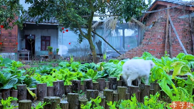 Jantar em família repleto de felicidade, fortuna e bem-estar repleto de anos pela frente