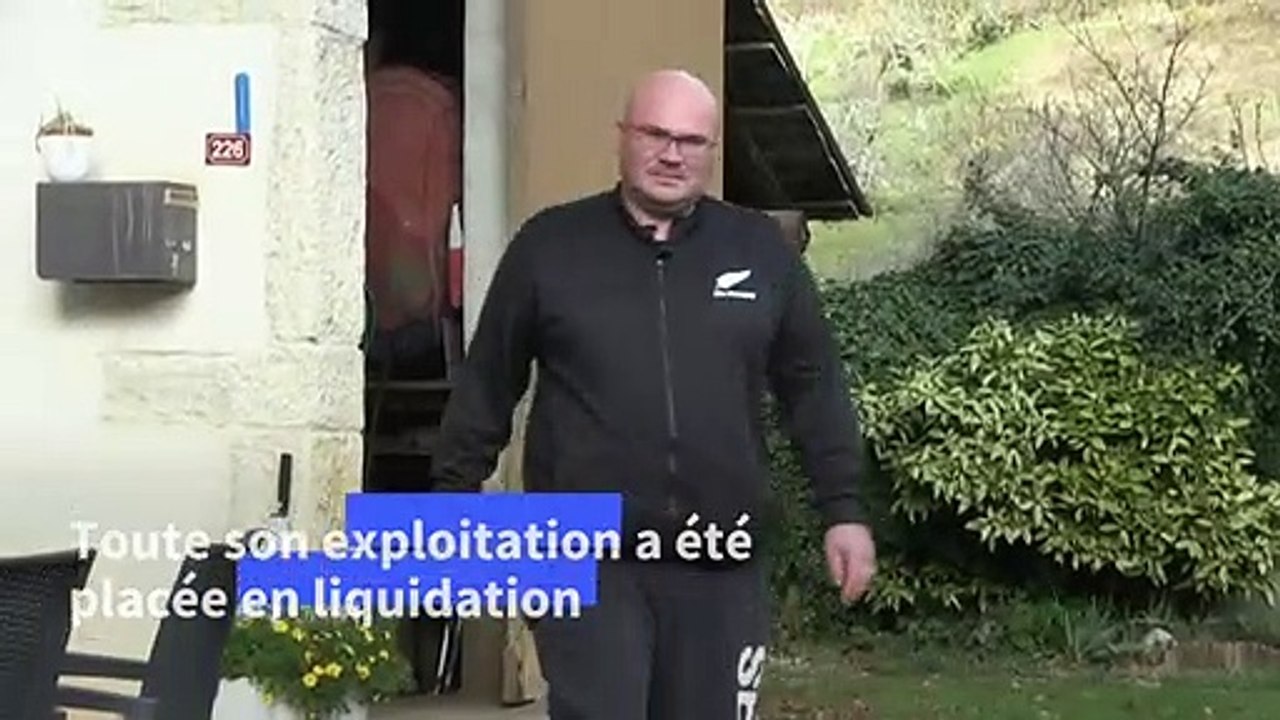 "Je ne vis pas, je survis": la détresse d'un agriculteur en faillite