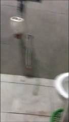 Ce qu'elle trouve dans la cuvette des WV est un peu flippant