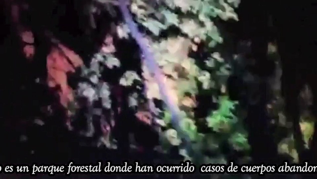 CAMFEAR 2X01 2021