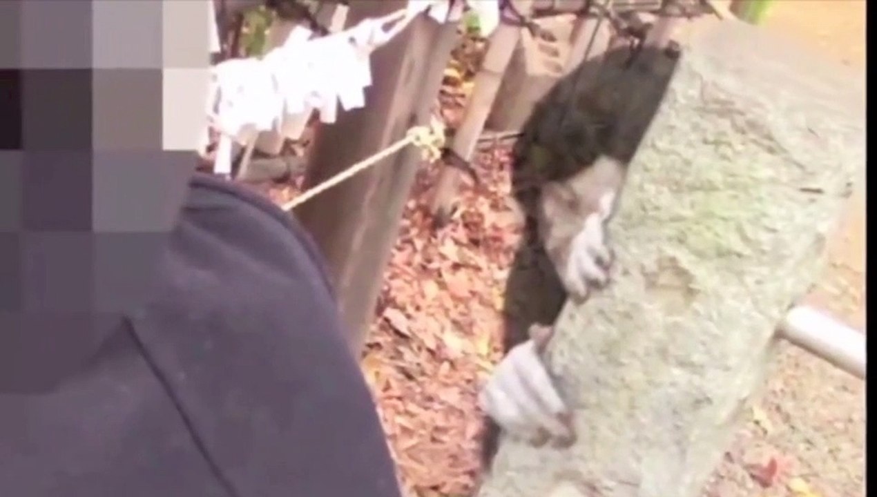 CAMFEAR 2X04 2021
