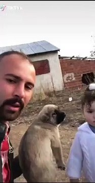 Kızına küçük yaşta hayvan sevgisini aşılayan baba ve bu duruma pek güzel adapte olan ufaklık