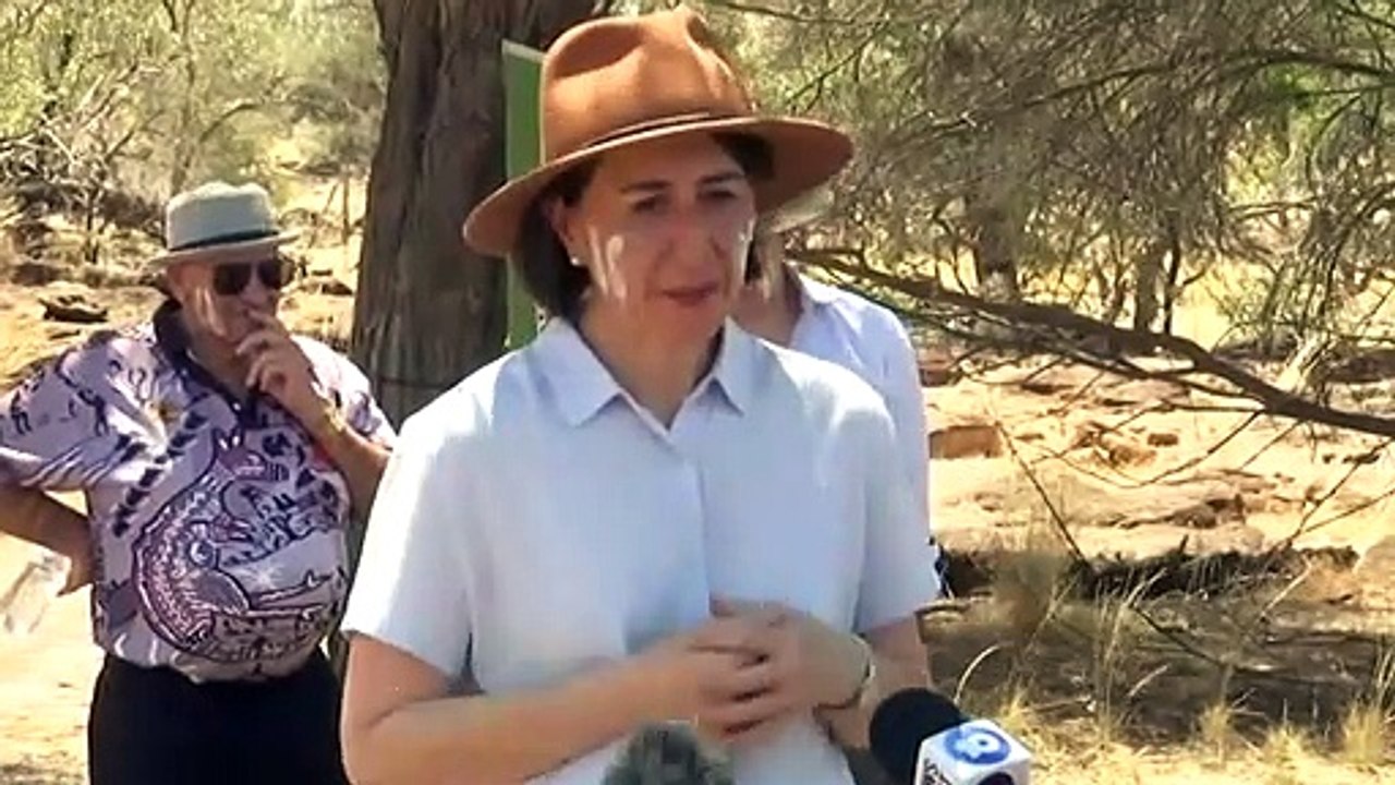 Borders reopen to travellers from NSW and Victoria