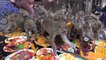 Hundreds of primates scramble for food at annual monkey festival in Thailand