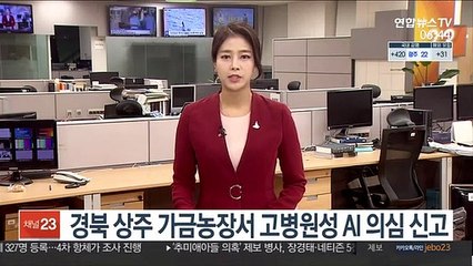 경북 상주 가금농장서 고병원성 AI 의심 신고