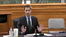 Sen. Tom Cotton SLAMS California Gov. Gavin Newsom over French Laundry dinner