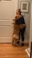 Dog Excitedly Meets Owner When She Comes Home