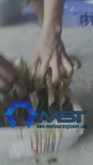 Uji-Kekuatan-Lem-media-sarang-tawon-ipal