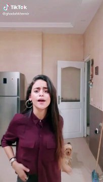 Tik Tok only middle easterns & arabs & muslims will understand #Egypt #Algeria #Morocco #Tunisia (73)