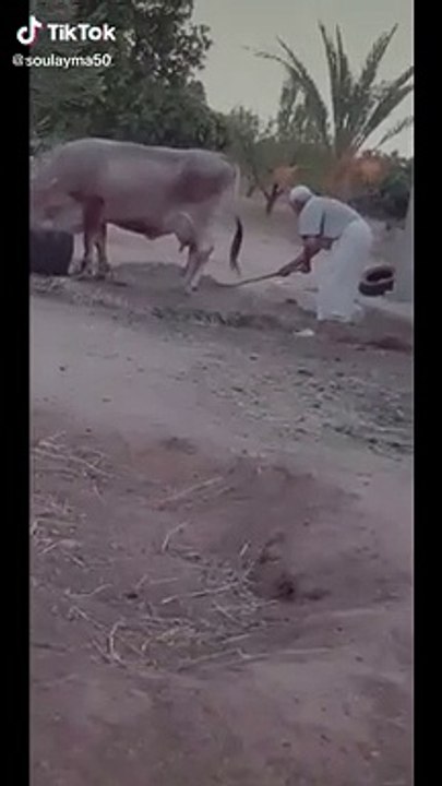 Best Arabic Tik Tok Girls Video 2020  #Egypt #Tunisia #Morocco #Algeria (49)