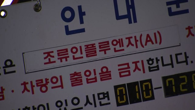 경북 상주 산란계 농장 고병원성 AI 확진...올해 두 번째 / YTN