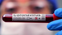 COVID-19 Antibodies Found In US Blood Samples From Early January 2020
