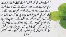 Urdu Moral Stories -- Moral Stories in Urdu & Hindi -- Sabaq Amoz Kahani Hindi-Urdu - Stories