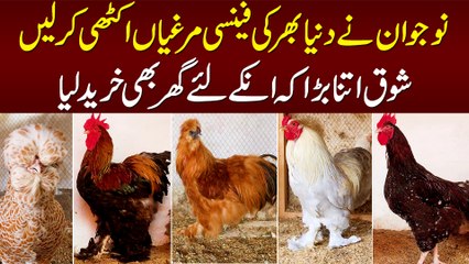 Naujawan Ne Duniya Bhar Ki Fancy Murghian Ikathi Kar Li - Shouq Itna Ke Inke Liye Ghar Bhi Bana Lia