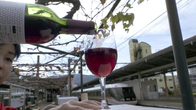 Japanese train station releases Merlot wine from grapes grown on platform vineyard