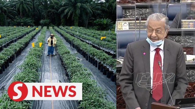 Dr M says difficult to support agriculture allocations without explanation on poverty eradication