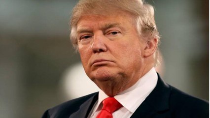 Scott Atlas resigns as special adviser to Trump on corona