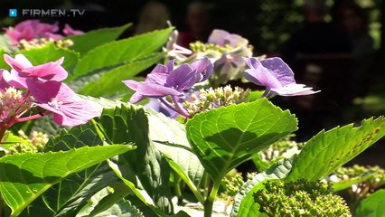 Landgasthof Kastanienbaum in Lüdinghausen – gutbürgerliche Küche und westfälische Spezialitäten