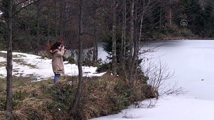 TRABZON - Doğal güzellikleriyle dikkati çeken Balıklıgöl'ün yüzeyi buz tuttu