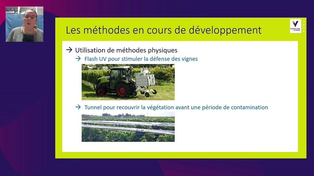 Gestion du cuivre à la vigne et conséquences dans les vins