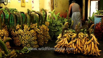 South Indian banana_ Chennai sells the best kela grown in Tamil Nadu