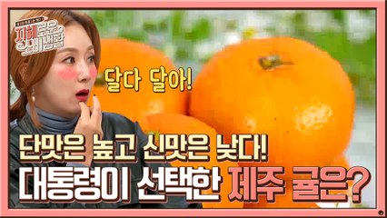 귤 싫은 사람, 손들어 (탕!) 이제 없지?! ☞대통령pick 귤☜