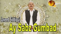 Ay Sabz Gumbad | Hd Video Manajat |  Javed Siddiqui | Manqabat