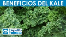 8 Propiedades y Beneficios del KALE