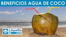 8 Propiedades y Beneficios del AGUA DE COCO | QueApetito