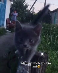 Good morning everyone)