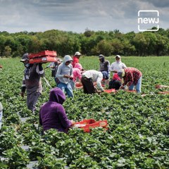 Explained: All You Need To Know About MSP And How Beneficial It Is For Farmers