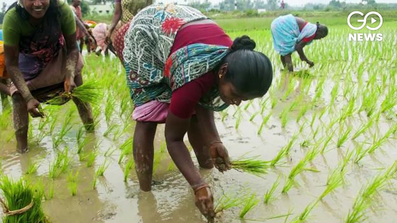 तमाम मुसीबतों के बावजूद किसान आंदोलन में महिलाएं निभा रहीं अहम भूमिका