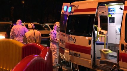 Covid-19: em busca da origem do mal