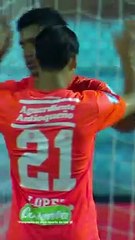 VERTICAL RCN ENV VS MED