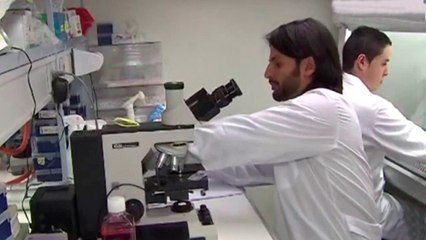 bd-leucemias-agudas-y-cronicas-021220