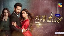 Mohabbat Tujhe Alvida Episode 26 Promo HUM TV Drama