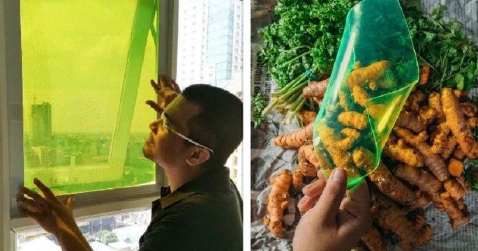 Aux Philippines, un étudiant a fabriqué des panneaux solaires à partir de déchets alimentaires