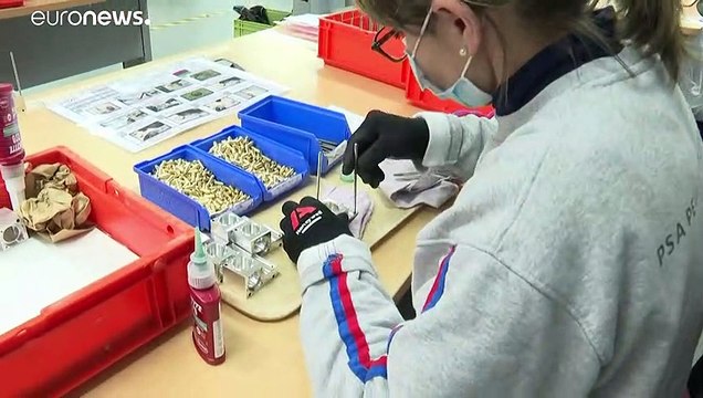 Доклад МОТ: зарплаты снижаются из-за пандемии