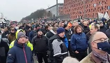 Europe is slaughtering millions of mink to curb the spread of COVID-19