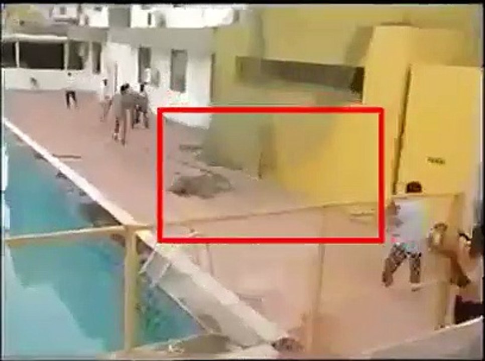 Un léopard attaque une école en Inde et fait si...