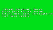 [Read] Notebook: Horse black pony horses animal nature mane pony thoroughbred foal mare saddle